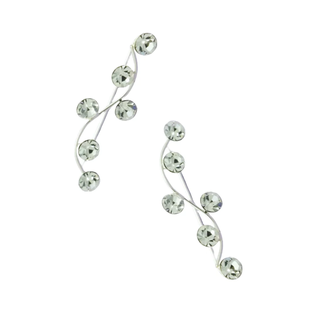 Aros de Plata 925 Trepadores con Circones