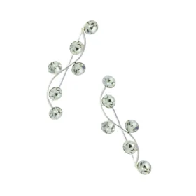 Aros de Plata 925 Trepadores con Circones