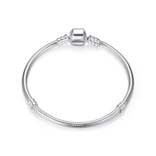 Pulsera Plateada de Acero para Charms