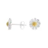 Aros de Plata Pequeñas Margaritas Derecha Aros de Plata Pequeñas Margaritas Derecha