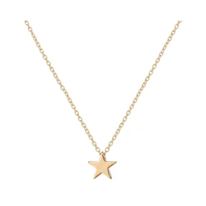 Collar con Colgante de Acero Estrella Dorado