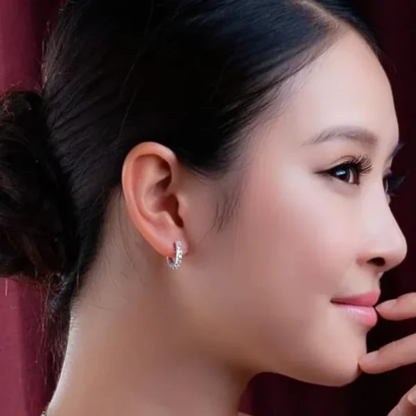 Aros Mini Argollas Con Circones Modelo